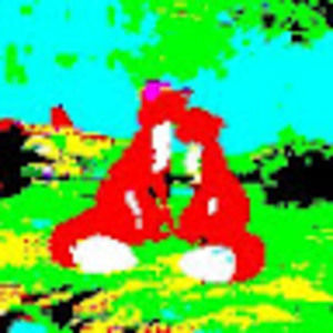 Meet your Posher, Carter